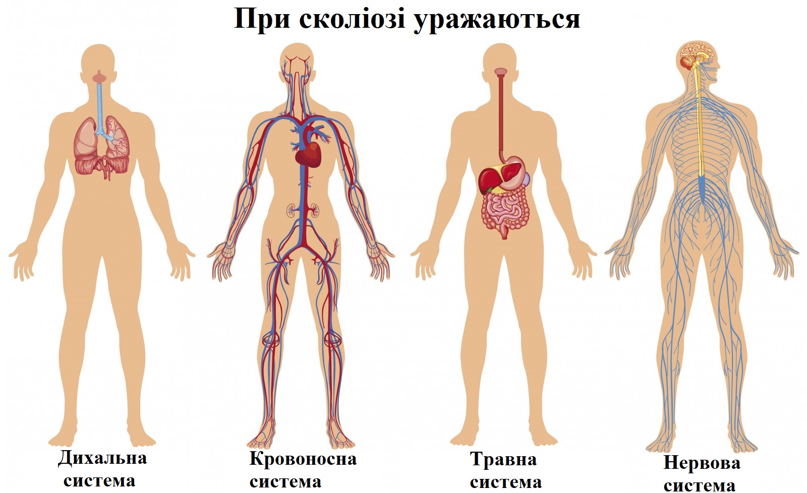 2-2018 Гастроэнтерология